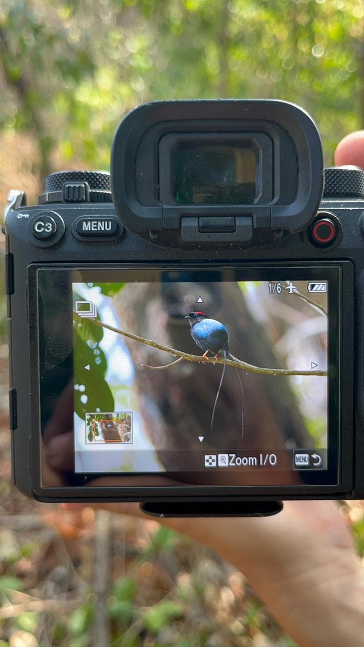 Birdwatching gallery image 1
